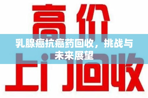 淮安乳腺癌抗癌药回收，挑战与未来展望