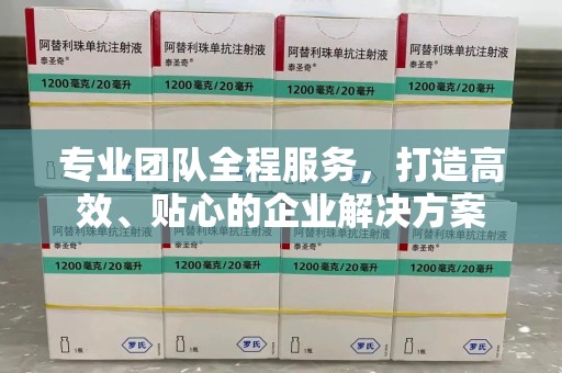 淮安专业团队全程服务，打造高效、贴心的企业解决方案