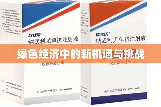 淮安绿色经济中的新机遇与挑战