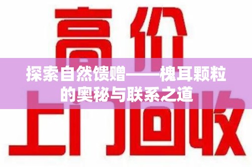 淮安探索自然馈赠——槐耳颗粒的奥秘与联系之道
