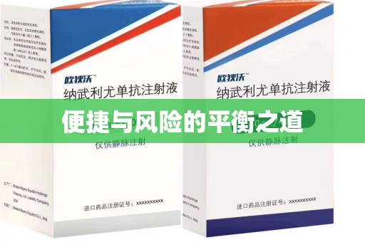 淮安便捷与风险的平衡之道