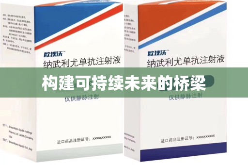 淮安构建可持续未来的桥梁